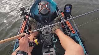 TFO PRO S ROD Review