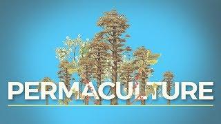 What is Permaculture? (And Why Should I Care?)