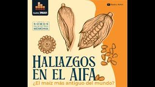 Hallazgos en el AIFA ¿El maíz más antiguo del mundo?