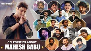 Celebrities About Prince Mahesh Babu | #hbdmaheshbabu | Mahesh Babu Birthday Special | TX TV