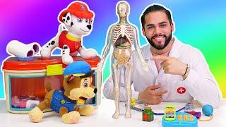 Vamos brincar de doutor!   Esqueleto humano.  Doutor de Brinquedo e a Patrulha Canina