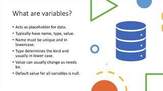 Dart Variables in English(Dart Basics)