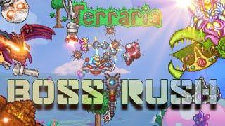 Terraria Boss Rush: Deadly Sphere Staff VS All Bosses