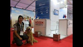 Flydog Services üyesi 6 yaşındaki Buddy İstanbul Airshow'da hünerini gösterdi