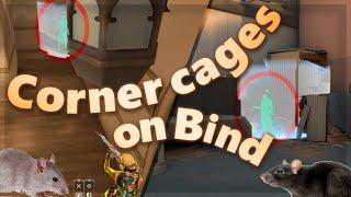 Corner cage setup guide on Bind! | Cypher