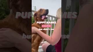 Puppy Name Ideas for Girls | Dog Names I Love But Didn’t Use