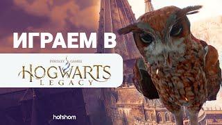 Я видел некоторое ****** | #hogwartslegacy #hogwarts #7