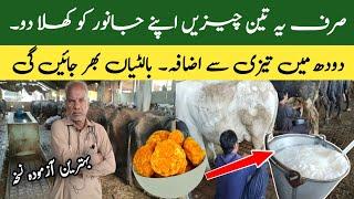 How to increase milk of Cows and Buffalos Fastly | Desi Formula to Increase Milk | Dairy Farm Tips