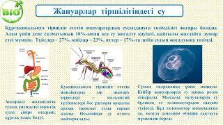 7 сынып ТІРІ ОРГАНИЗМДЕР ҮШІН СУДЫҢ МАҢЫЗЫ