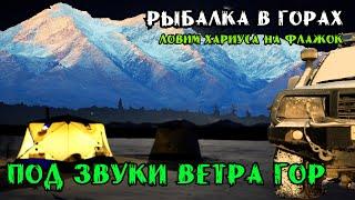 Клёв Хариуса на Флажок. Ночлег в Палатке у самого Неба #сибирь #тайга #fishing