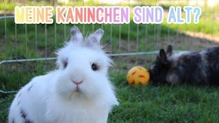 Alter der Kaninchen!?||Bunnys Diary