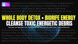 Whole Body Detox I ®Biorife Healing Frequencies