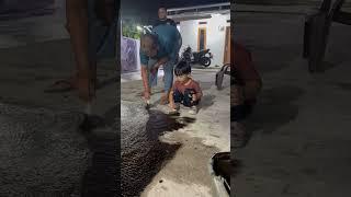 Viral keponakan kalo di titipkan ke tante nya #youtube #youtubeshorts #videolucubikinngakakterbaru