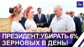 Президент о темпах жатвы: УБИРАТЬ 6 % зерновых в день! Лукашенко посетил Гродненскую область.