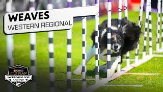 Incredible Dog Challenge: Weave Pole Western Regional | NBC Sports