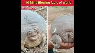 10 mind blowing facts of world #shorts #HRK