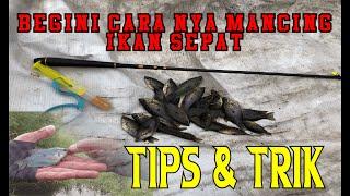 THIS IS THE EASY WAY OF FISHING FOR REGULAR FISH VERY EASY