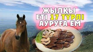 ЖЫЛҚЫ ЕТІ 17 ТҮРЛІ АУРУҒА ЕМ БОЛАДЫ