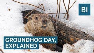 Why Groundhogs Supposedly Predict The Weather On Groundhog Day