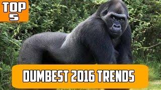 Top 5 Dumbest 2016 Trends // QuickTops