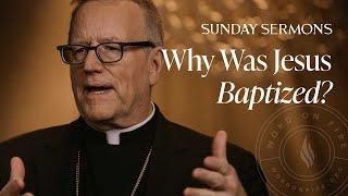 Why Was Jesus Baptized? - Bishop Barron's Sunday Sermon