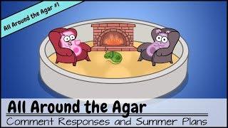 Are There Two Amoeba Sisters?...and Other Comment Responses