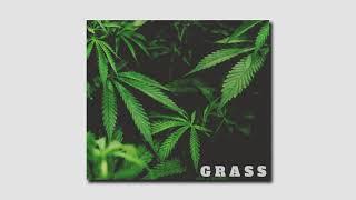 "GRASS" - Reggae x G Funk Type Beat