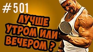 когда лучше тренироваться утром или вечером