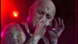 ROSE TATOO Nice Boy Live Hippodrome de Pantin 9 mai 1981