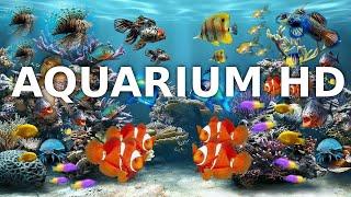 Aquarium Music | Aquarium Sounds And Background Relaxing Music | Deep Sleep | 3h Full HD Screensaver