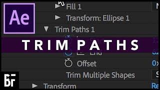 The Basics of Trim Paths in After Effects
