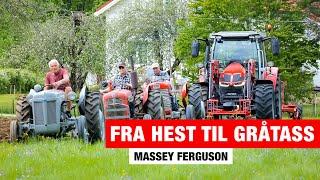 Fra hest til gråtass