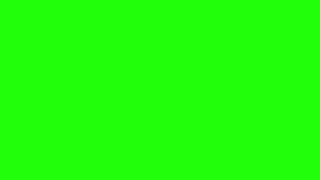 Camera flash green screen with sound effect (NO COPYRIGHT)