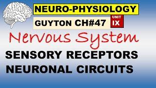 Ch#47 Physiology Guyton | Neurophysiology | Sensory Receptors and Neuronal Circuits