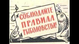 Весенний нерестовый запрет 2020 года. Штрафы, правила,приказы,нормы вылова рыбы.