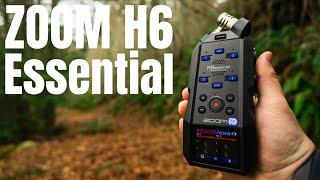 Testing the New Zoom H6 Essential!