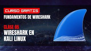 Wireshark Fundamentos | Wireshark en Kali Linux y Virtual box | Curso Gratis | Clase 05