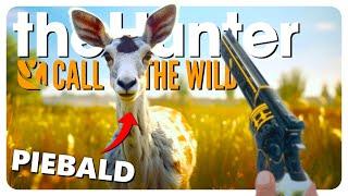 I hunted EVERY DEER species in the game (DON'T TRY THIS) | theHunter: Call of the Wild