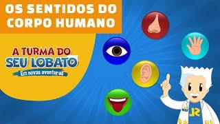 A Turma do Seu Lobato - Os Sentidos do Corpo Humano (Educação Infantil)