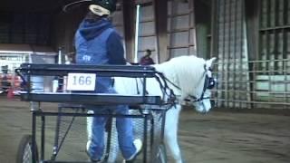 Introduction to the Sport of Carriage Driving