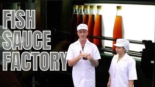 How fish sauce is made, Megachef Factory