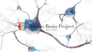 University of Pavia, The Human Brain Project system