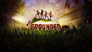 Серия №28 Grounded (4 супер чип)