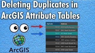 How to Delete Duplicates/Copies in ArcGIS Pro Feature Class Attribute Table | ArcGIS Pro