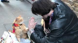 Bob The Street Cat Revisits Covent Garden