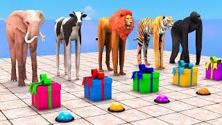 Animals Choose The Right Gift Box Run Game With Cow Elephant Tiger Buffalo Pig Max Level Long Legs