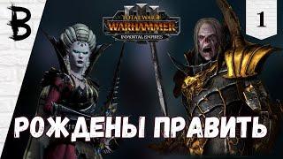 Total War: Warhammer 3 Immortal Empires Сильвания, Влад фон Карштайн #1 "Рождены править"