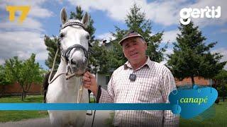 Kali i njejtë me të Skenderbeut, ky është burri nga Gjakova me kuaj e kafshë | Canapé | T7