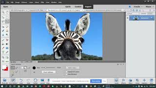 Adobe Photoshop Elements 2019-The Toolbar-Quick Selection Tool