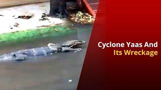 Cyclone Yaas: How Odisha & West Bengal Braved Its Destruction | NewsMo